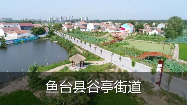 鱼台县谷亭街道