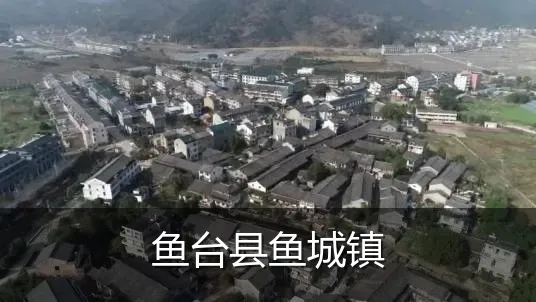 鱼台县鱼城镇